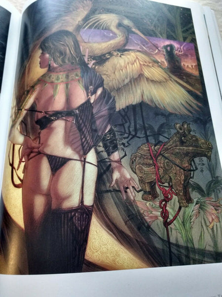 Spectrum 13: The Best in Contemporary Fantastic Art Hardcover Book