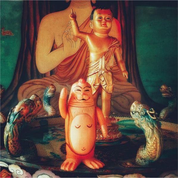 Monk Sealmon Sofubi Soft Vinyl Designer Art Toy by Montoz Studio Korea