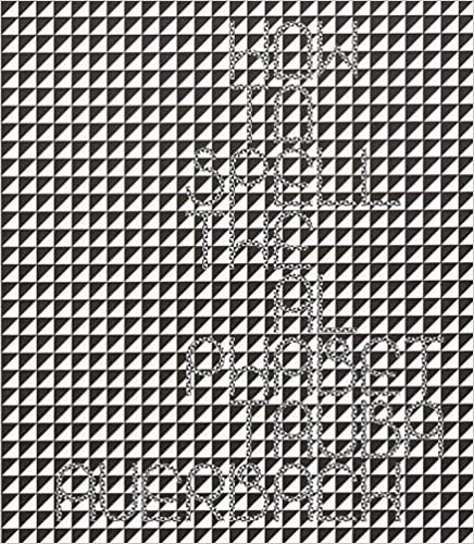 Tauba Auerbach "How to Spell the Alphabet” Art Book Hardcover