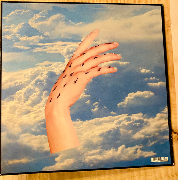 PICTUREPLANE Thee Physical 12” Record LP